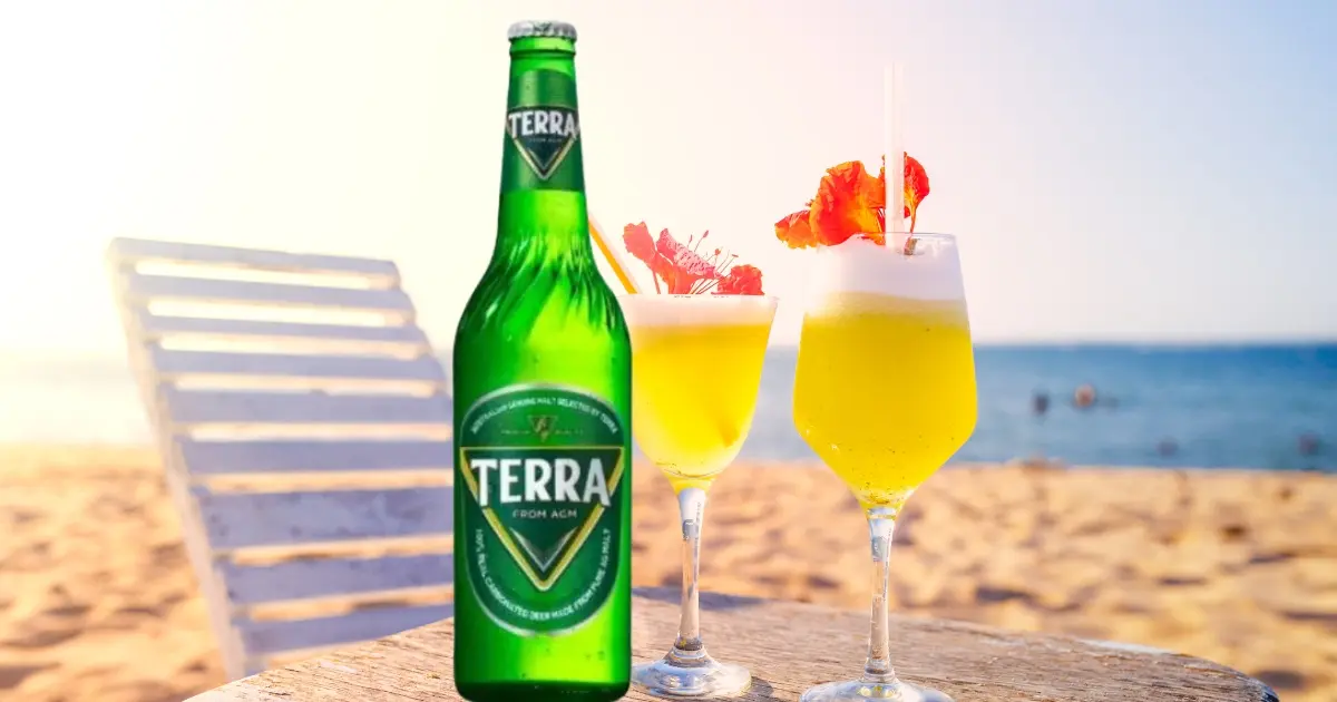 Terra Korean Beer